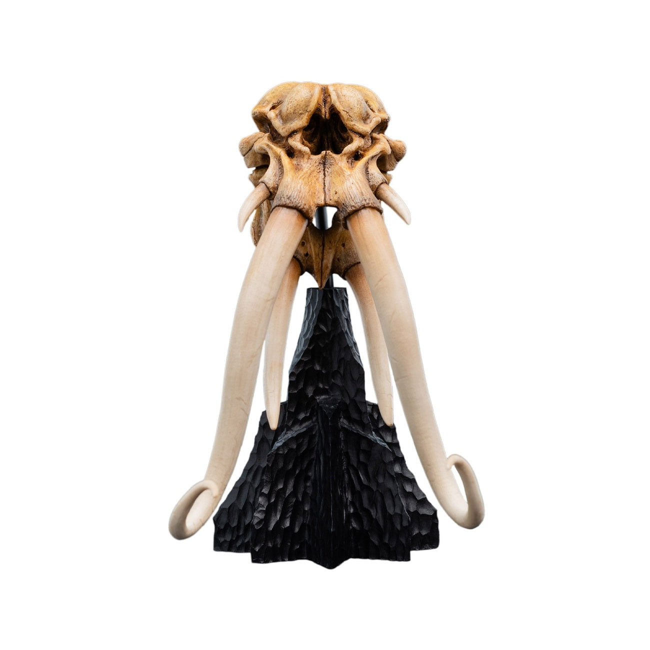 herr-der-ringe-skull-of-a-mumak-mini-statue image 1
