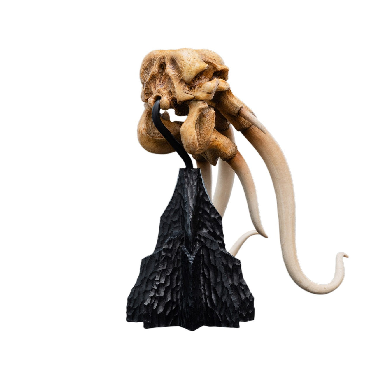 herr-der-ringe-skull-of-a-mumak-mini-statue image 8