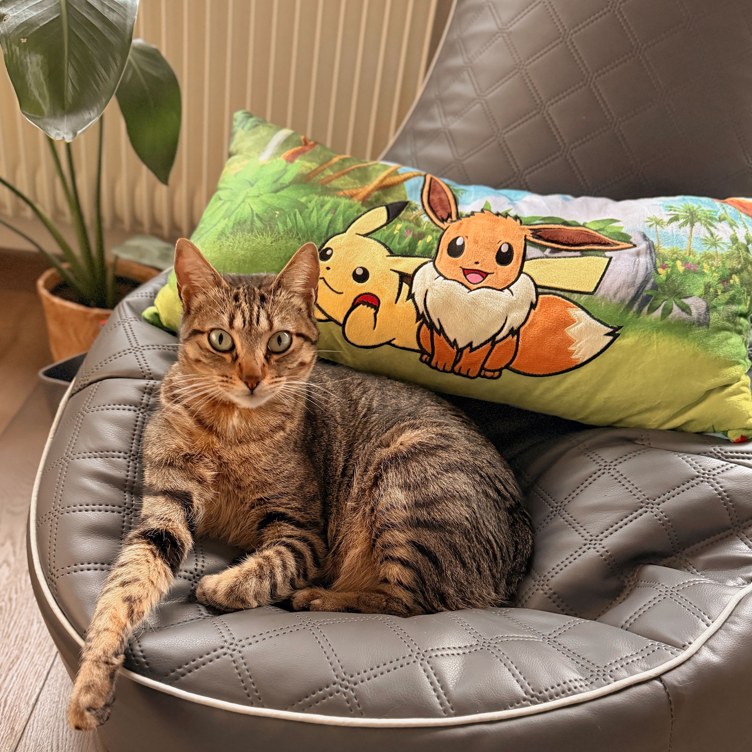 pokemon-pikachu-und-evoli-kissen-56x29-cm-bestickt image 7