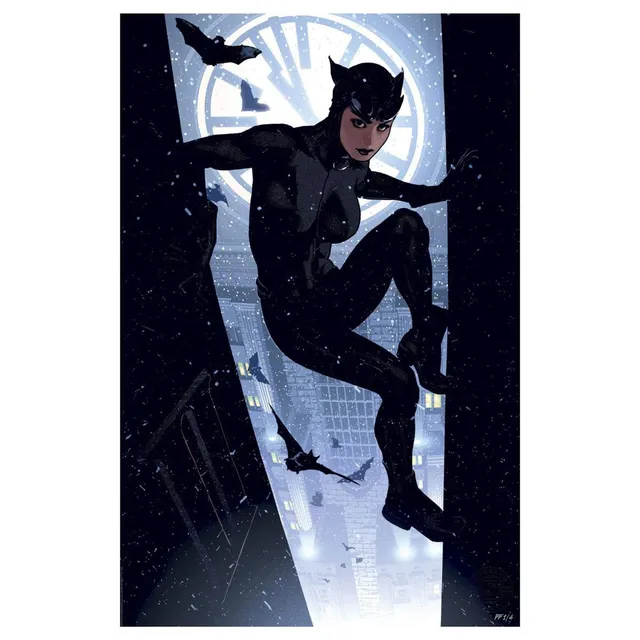 dc-comics-catwoman-kunstdruck-41x61-cm-ungerahmt image 1
