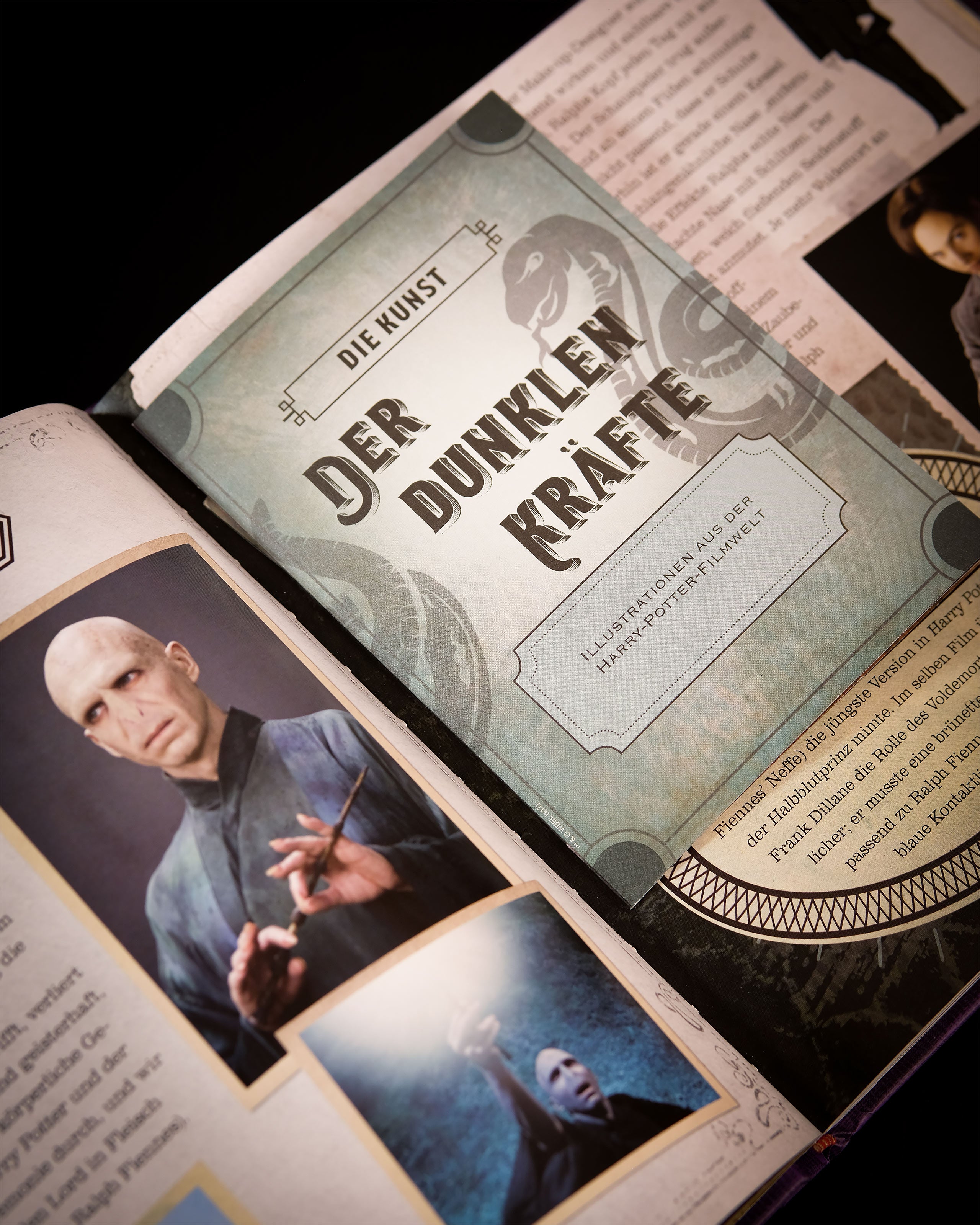 elbenwald-wizarding-world-die-dunklen-k-nste-buch-handbuch image 3