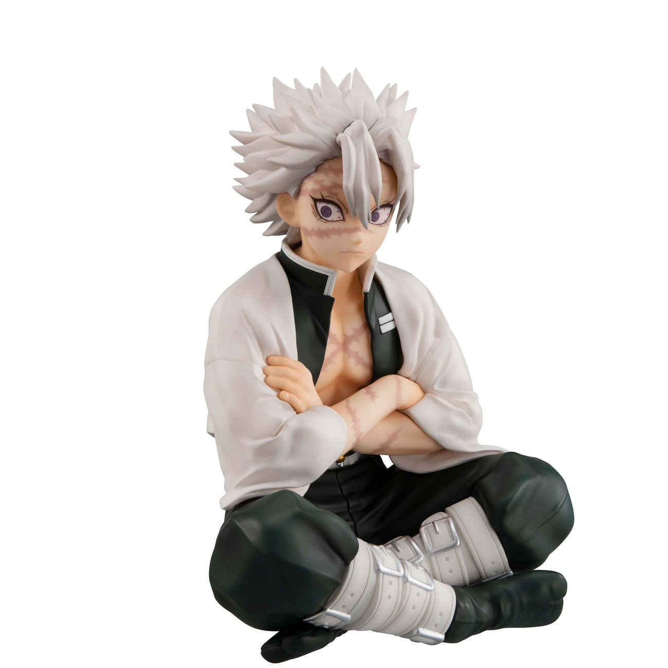 demon-slayer-g-e-m-shinazugawa-pvc-statue-mit-standfu image 1