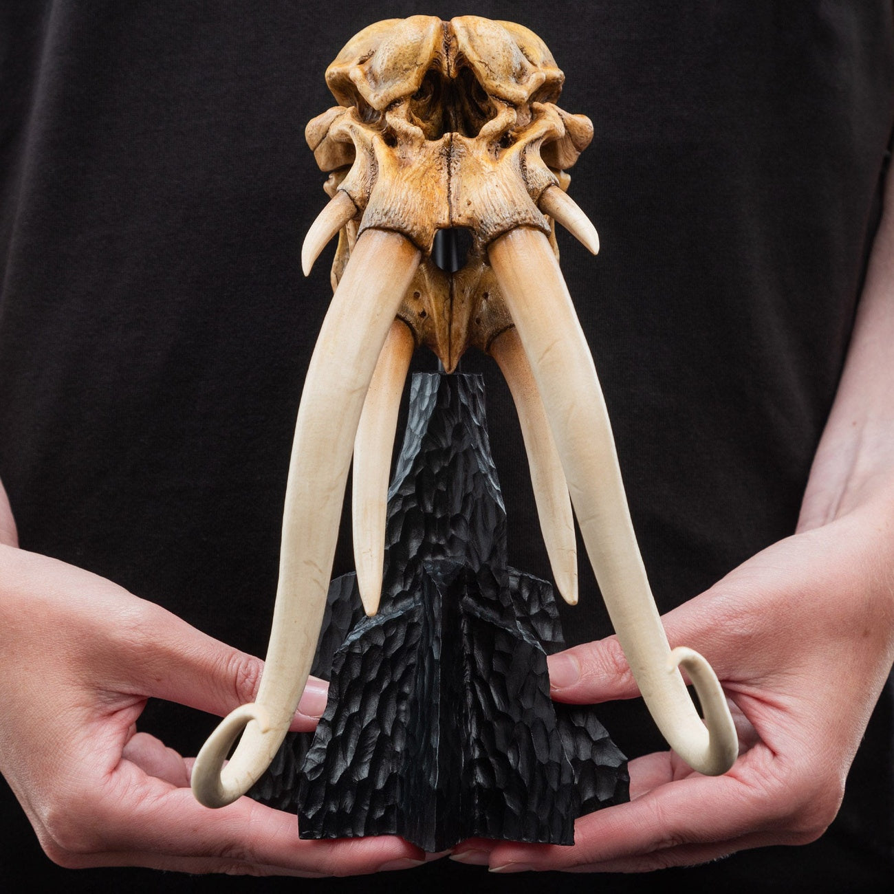 herr-der-ringe-skull-of-a-mumak-mini-statue image 4