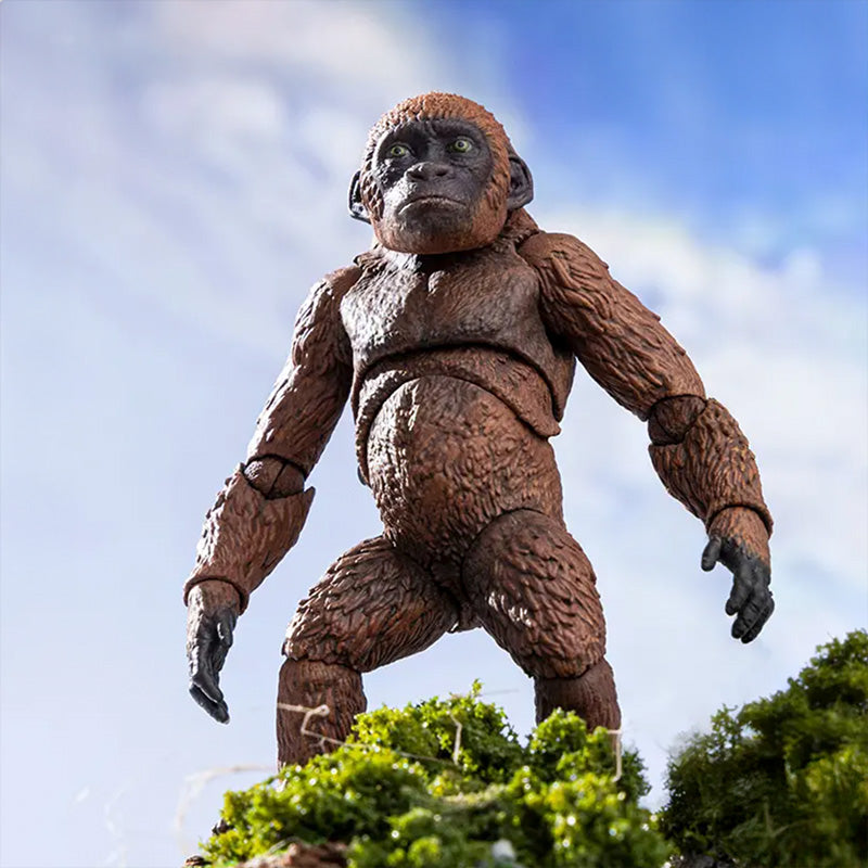godzilla-x-kong-hiya-mothra-premium-set-actionfigur-suko image 8