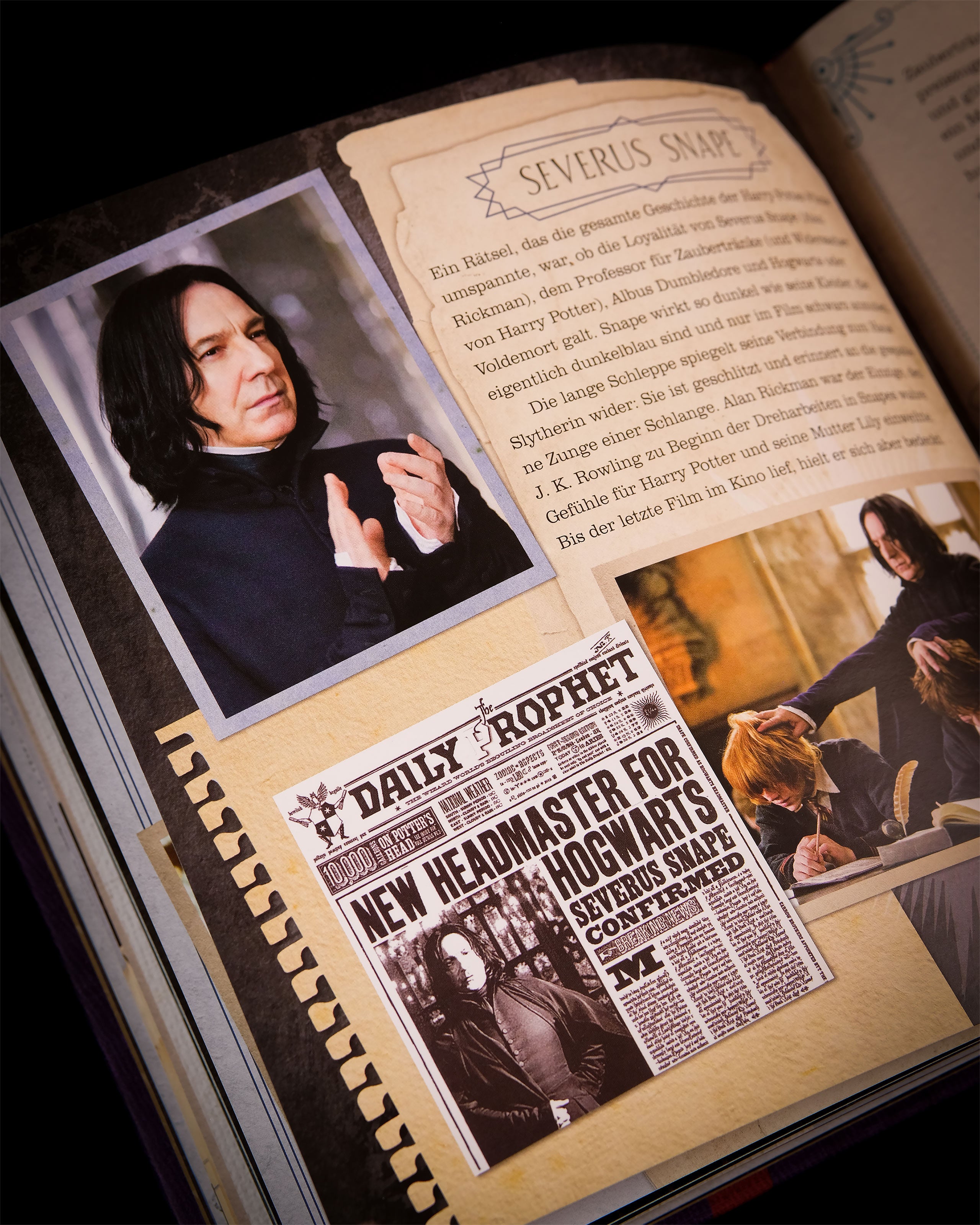 elbenwald-wizarding-world-die-dunklen-k-nste-buch-handbuch image 5