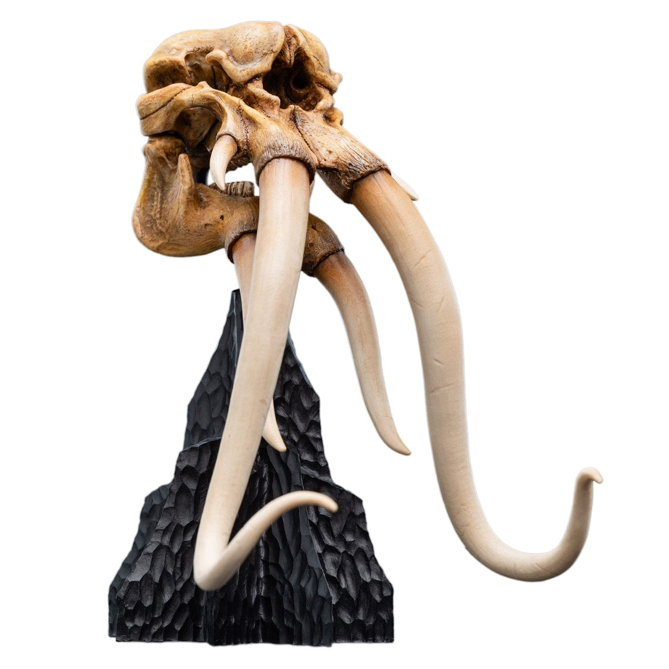 herr-der-ringe-skull-of-a-mumak-mini-statue image 2