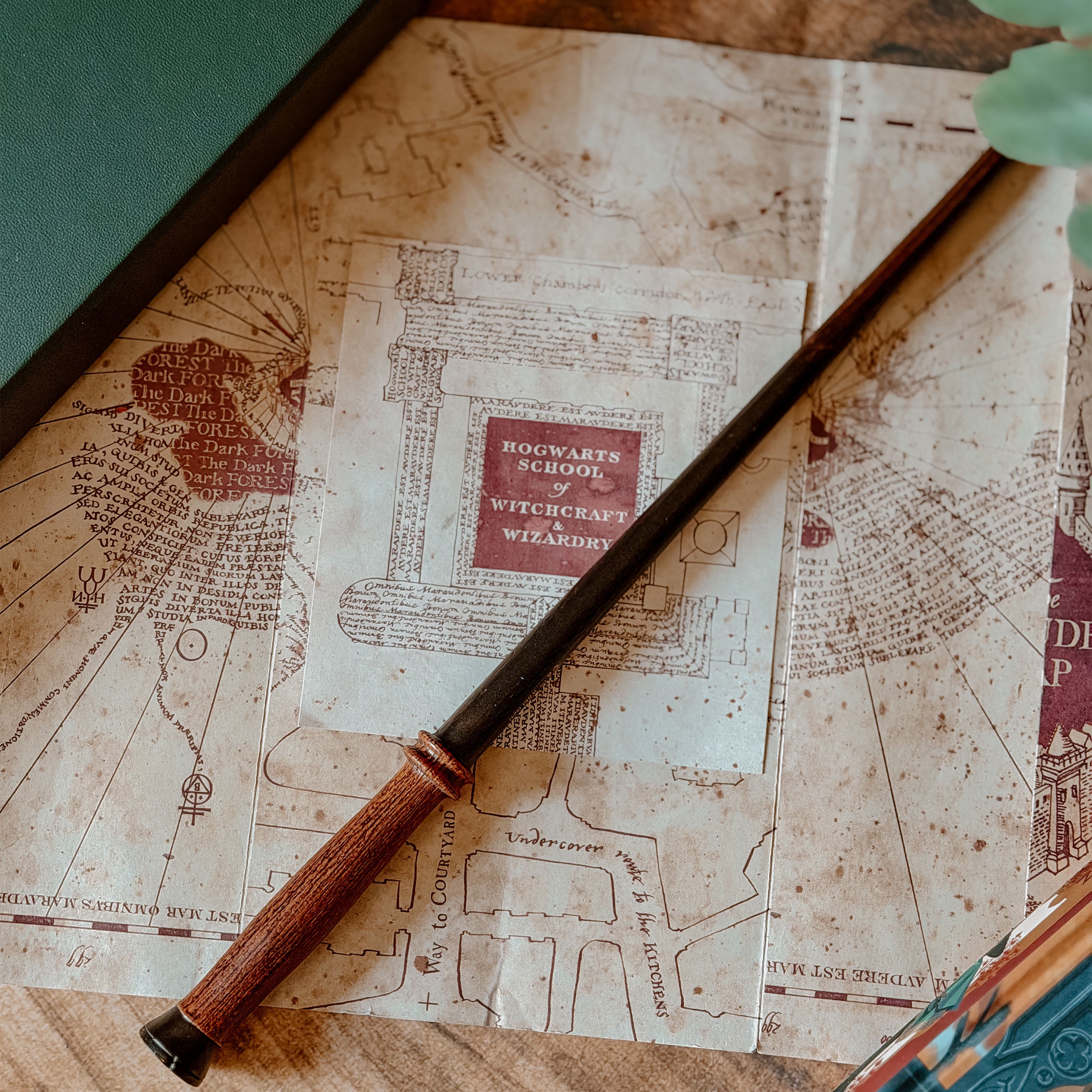 elbenwald-harry-potter-first-wands-zauberstab-30-cm image 4