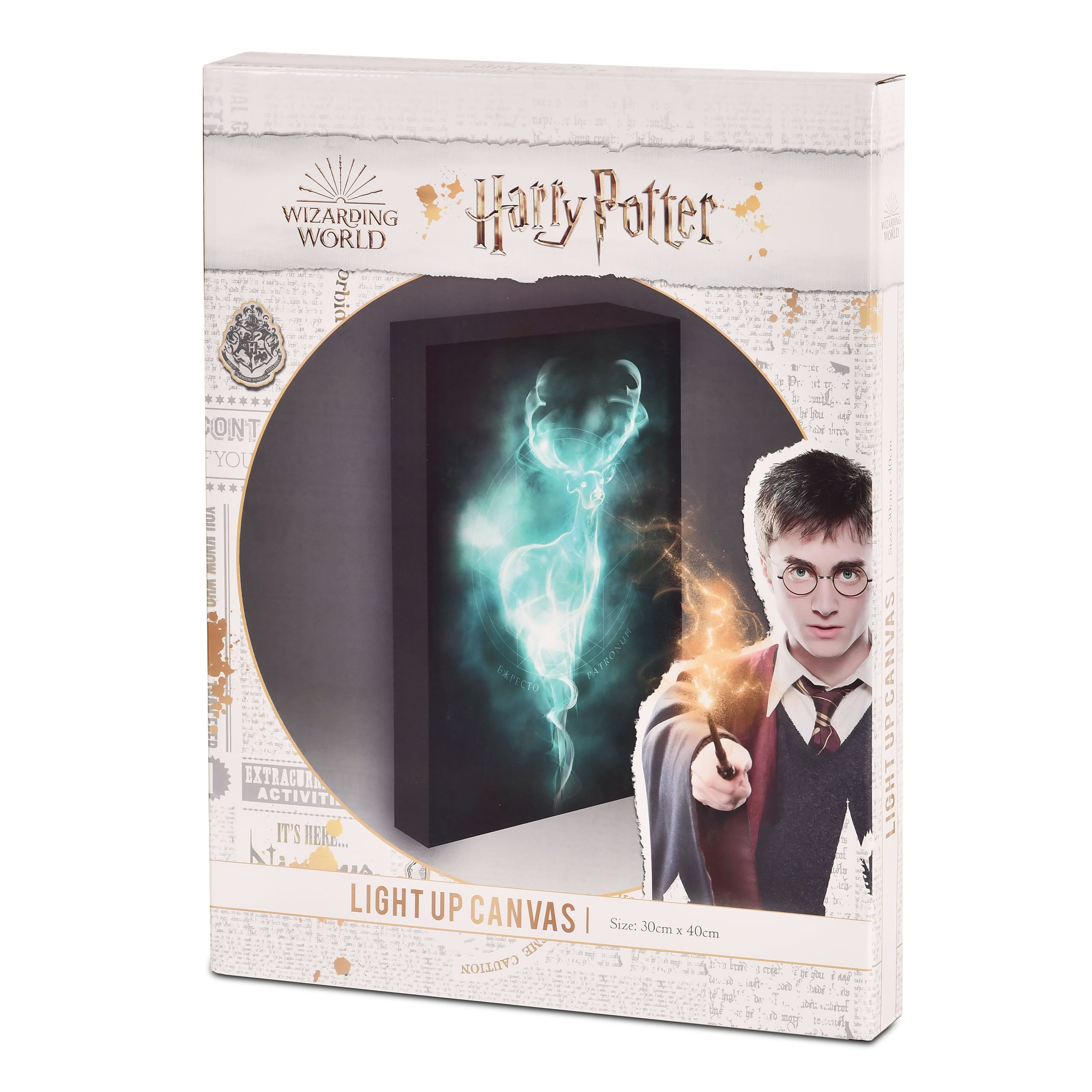 elbenwald-harry-potter-patronus-wandbild-mit-licht-led image 5