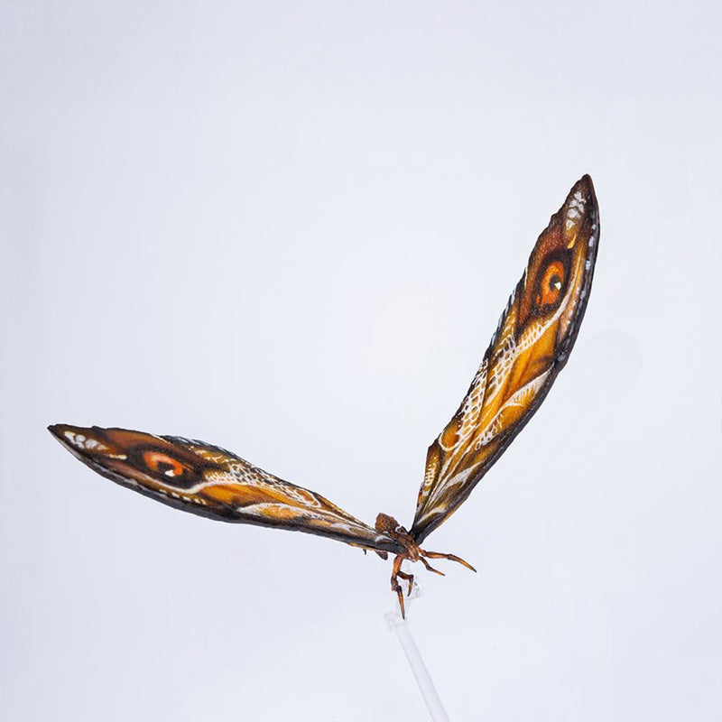 godzilla-x-kong-hiya-mothra-premium-set-actionfigur-suko image 3
