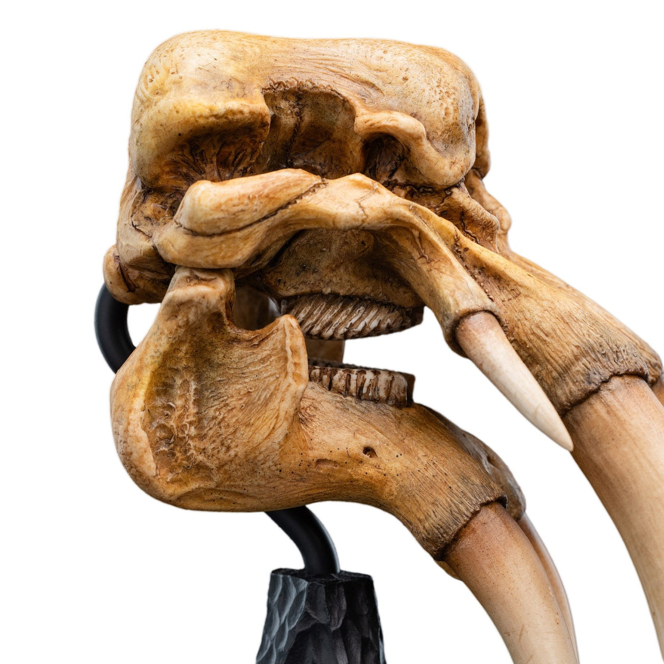 herr-der-ringe-skull-of-a-mumak-mini-statue image 3