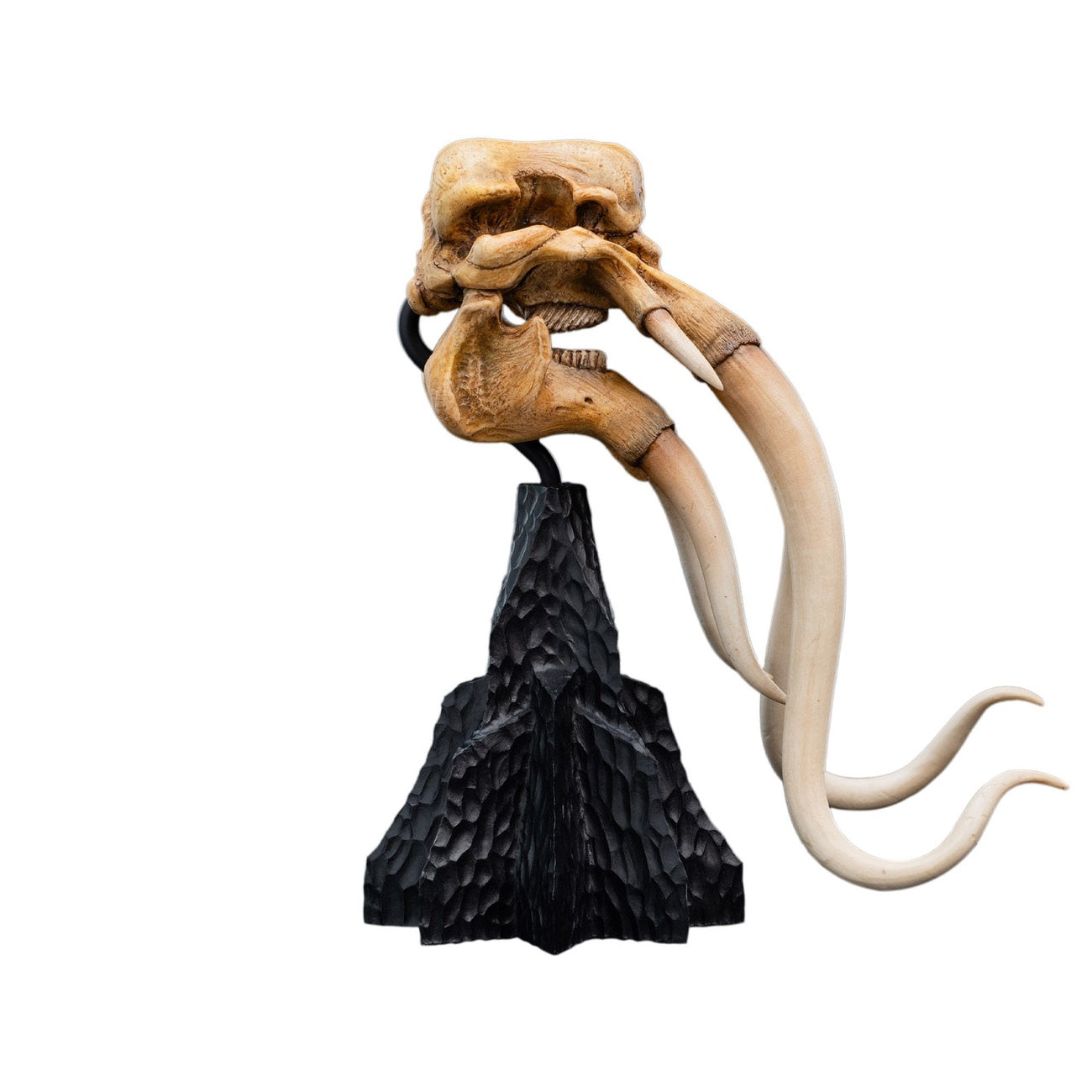 herr-der-ringe-skull-of-a-mumak-mini-statue image 7